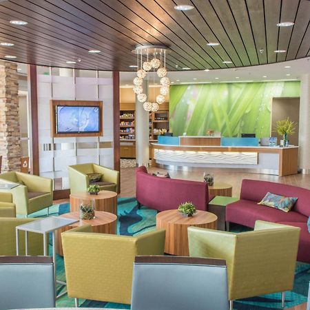 Springhill Suites By Marriott Sumter Extérieur photo